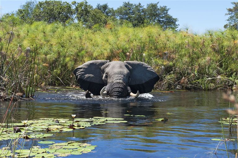 Unterwegs in Südafrika, Simbabwe und Botswana © by IKARUS TOURS GmbH